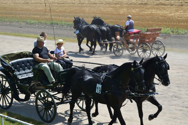Сомбор: Дефиле јахача и фијакера